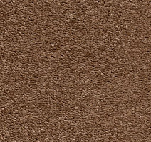 Ковролин AW Invictus Heroicus 38 фото 1 | FLOORDEALER